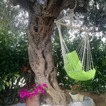 Alba Marina Tollo