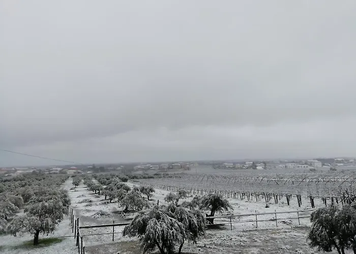 Alba Marina Appartement Tollo